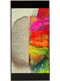 Reach Klassy 100 HD Price