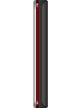 Richmax Platinum X55