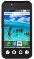 RK Mobile P200