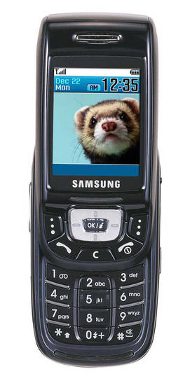 Samsung D500