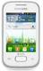 Samsung Galaxy Pocket Duos S5302
