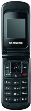 Samsung Guru 300