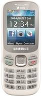 Samsung Metro 312