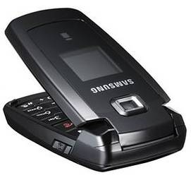 Samsung S401i