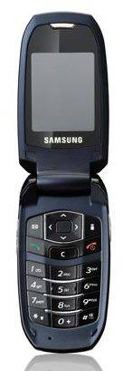 Samsung S501i