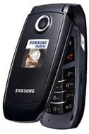 Samsung S501i