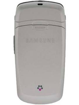 Samsung SGH-T619