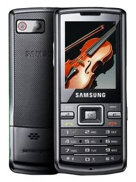 Samsung SGH-W299