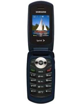 Samsung SPH-M220