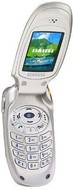 Samsung T100