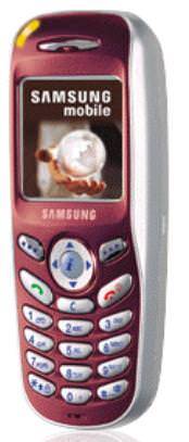 Samsung X100