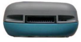 Siemens C60