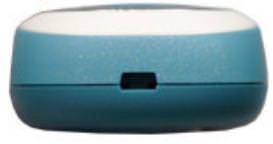 Siemens C60