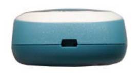 Siemens C60