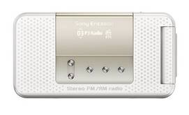 Sony Ericsson R306i