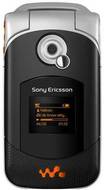 Sony Ericsson W300