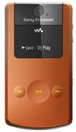 Sony Ericsson W518a