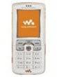 Sony Ericsson W800