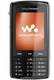 Sony Ericsson W960 and W960i