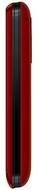 Spice Blueberry Mini