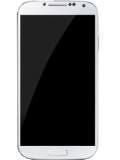 Stringss G4 Price