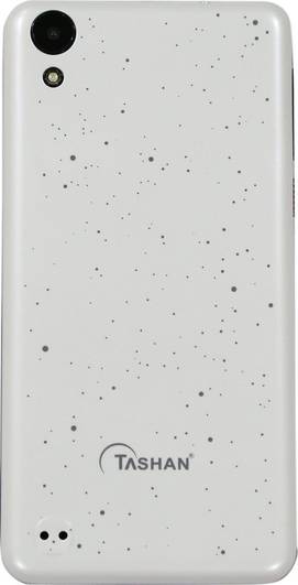 Tashan TS-861