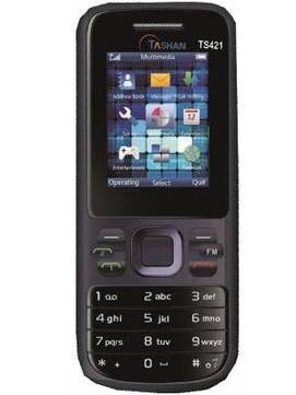 Tashan TS421