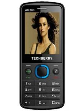 Techberry AR300