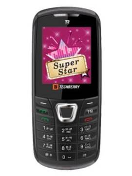 Techberry SS100