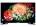 Activa SD75LED3I6