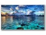 Aisen A65UDS980 65 inch (165 cm) LED 4K TV