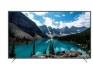 Belco 65BUS-01 65 inch (165 cm) LED 4K TV