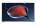 BlackOx 45LF4303FHD