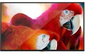 Croma CREL7342 49 inch (124 cm) LED 4K TV