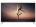 Haier LE65U6500U