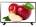 Haier LE32D1000