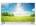 Haier LE55B9700UG