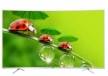Haier LE65Q9800QUAG 65 inch (165 cm) QLED 4K TV