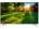 Haier LE43F9000AP