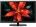 Haier LE50B50 50 inch (127 cm) LED Full HD TV