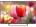 Haier LE49B7000