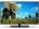 Haier LE24B8000