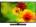 Haier LE55M600