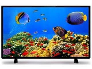 Impex Fiesta 31.5 inch (80 cm) LED HD-Ready TV