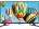 Intex LED-3213