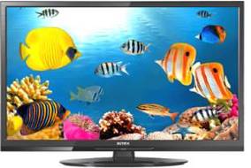 Intex LED 2410  24 inch (60 cm) LED HD-Ready TV
