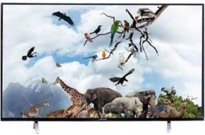 Kevin KN50 48 inch (121 cm) LED Full HD TV
