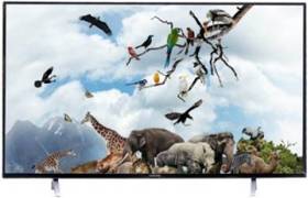 Kevin KN55 55 inch (139 cm) LED 4K TV
