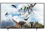 Kevin KN55 55 inch (139 cm) LED 4K TV