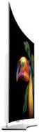LG 55EG960T 55 inch (139 cm) OLED 4K TV